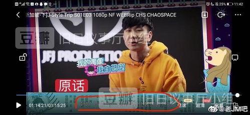 吃瓜娱乐圈周杰伦视频下载